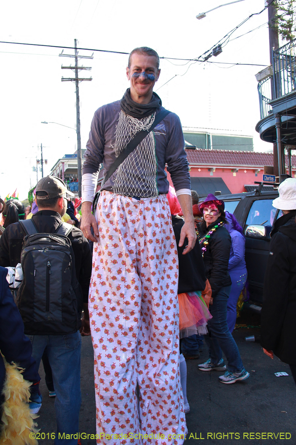 2016-Mardi-Gras-Day-walk015206