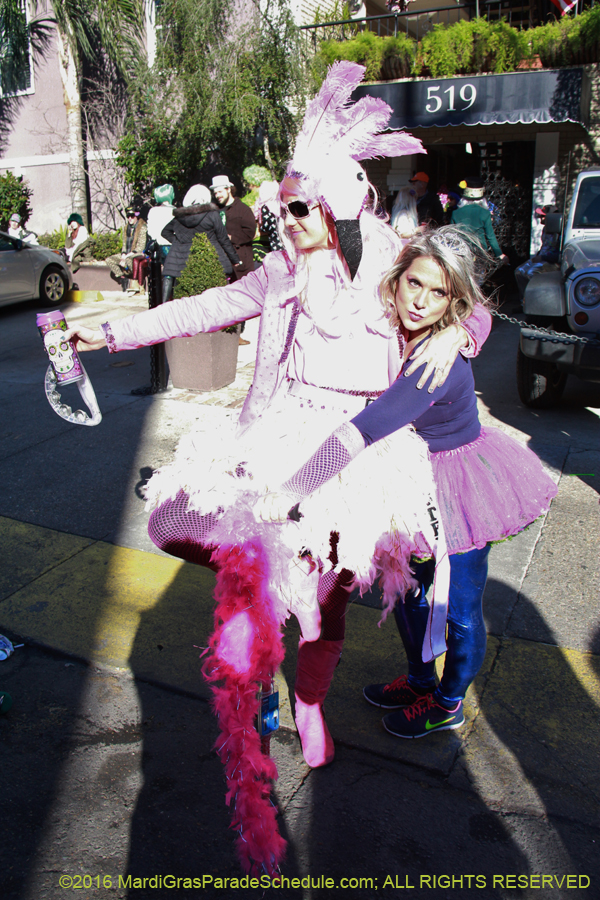 2016-Mardi-Gras-Day-walk015217