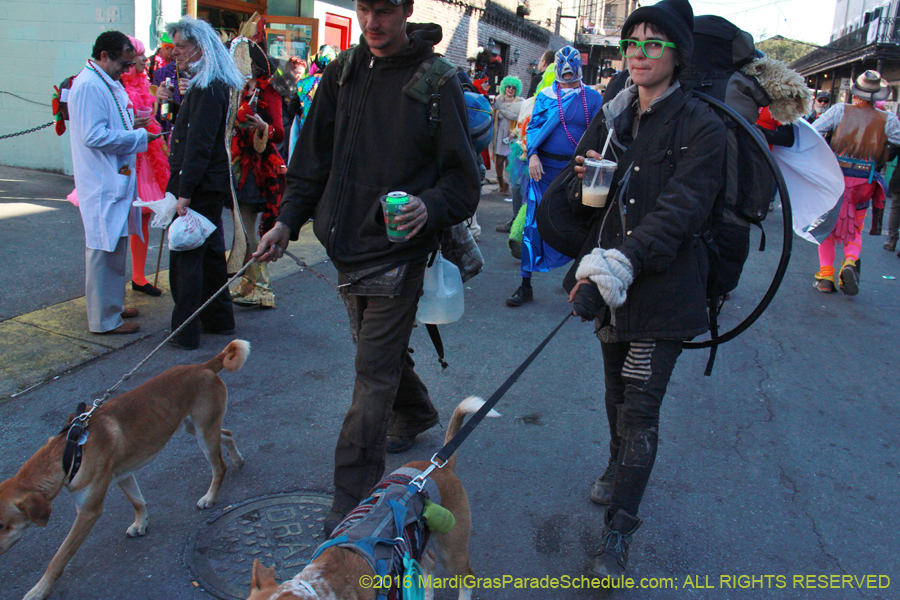 2016-Mardi-Gras-Day-walk015218