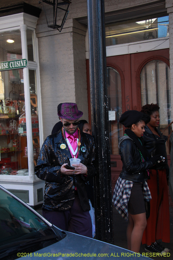 2016-Mardi-Gras-Day-walk015222