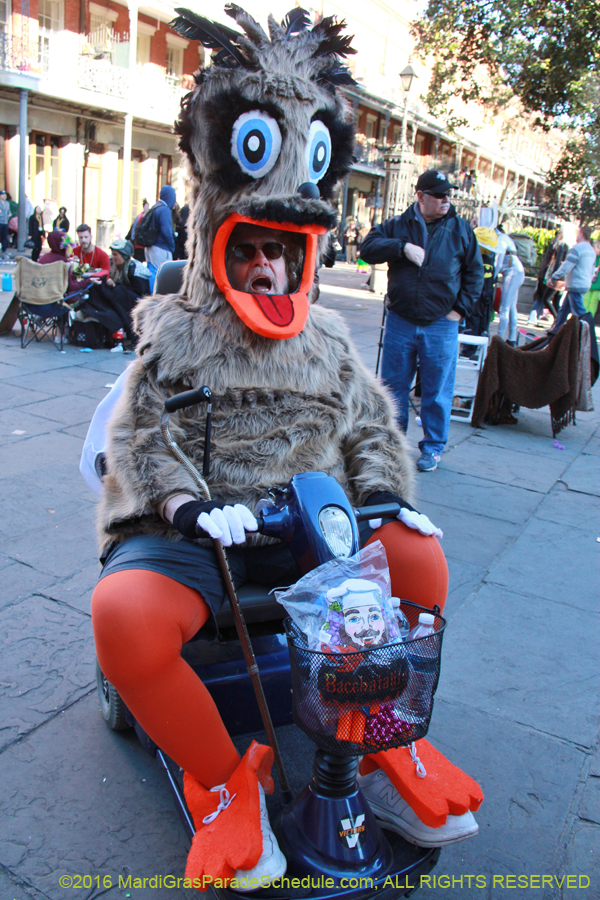 2016-Mardi-Gras-Day-walk015288