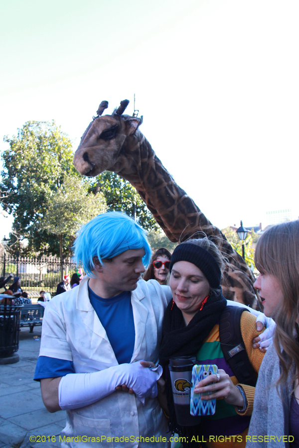 2016-Mardi-Gras-Day-walk015307