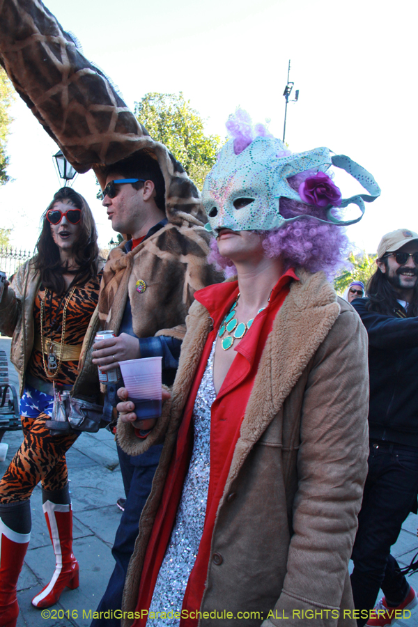 2016-Mardi-Gras-Day-walk015308