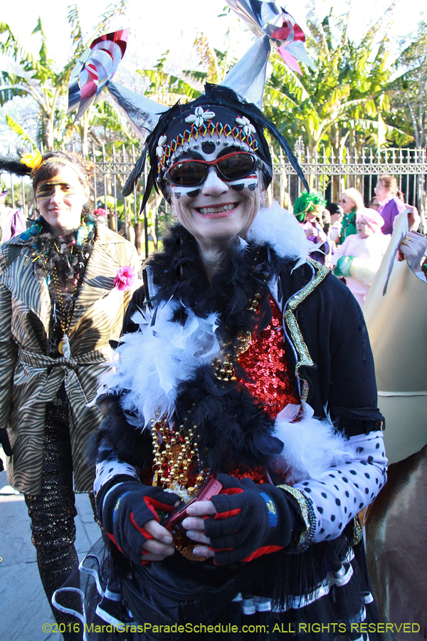 2016-Mardi-Gras-Day-walk015356