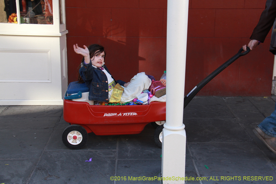 2016-Mardi-Gras-Day-walk015363