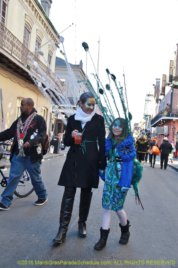 2016-Mardi-Gras-Day-walk015377