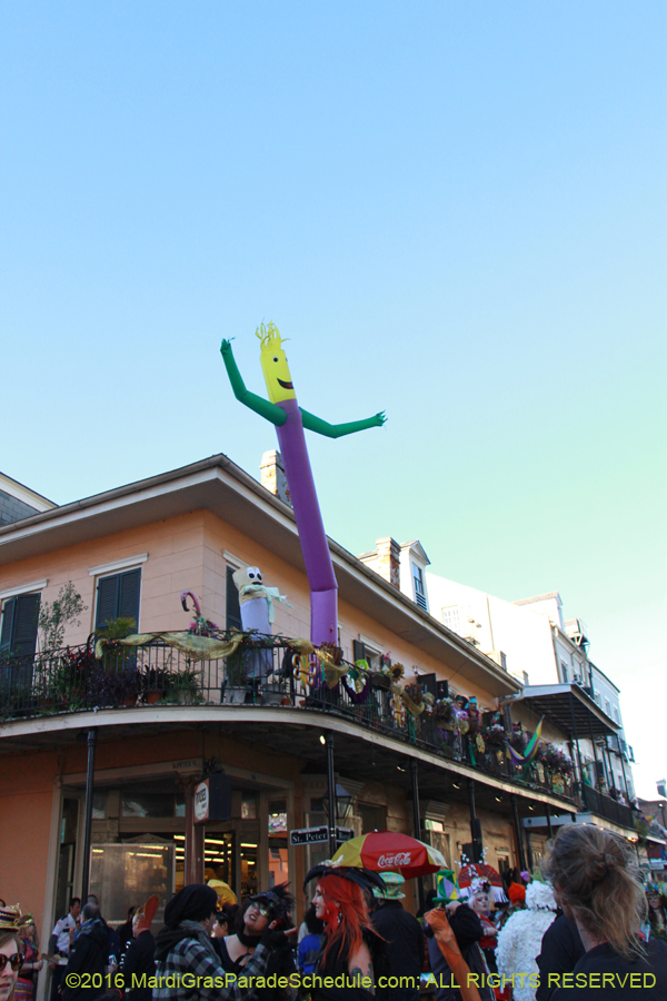 2016-Mardi-Gras-Day-walk015399