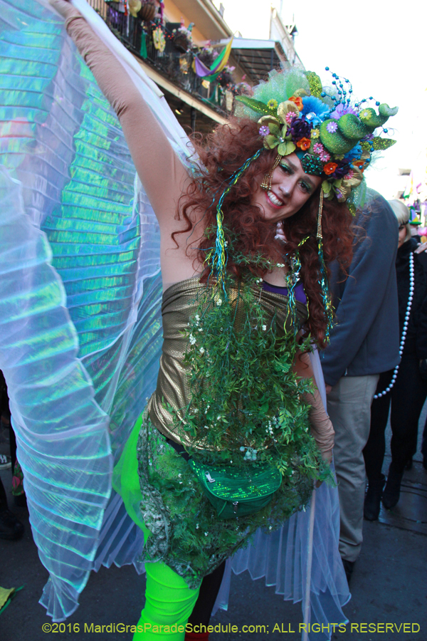 2016-Mardi-Gras-Day-walk015401