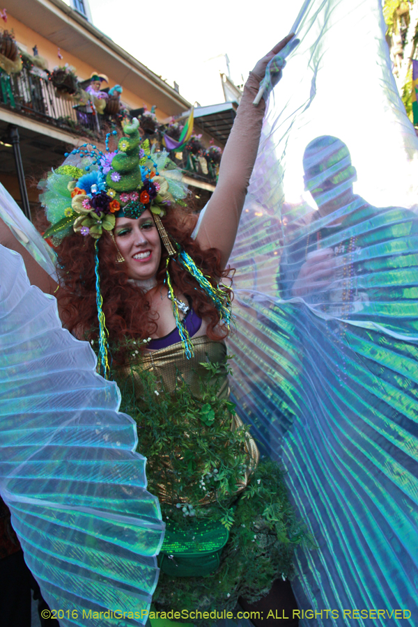 2016-Mardi-Gras-Day-walk015404