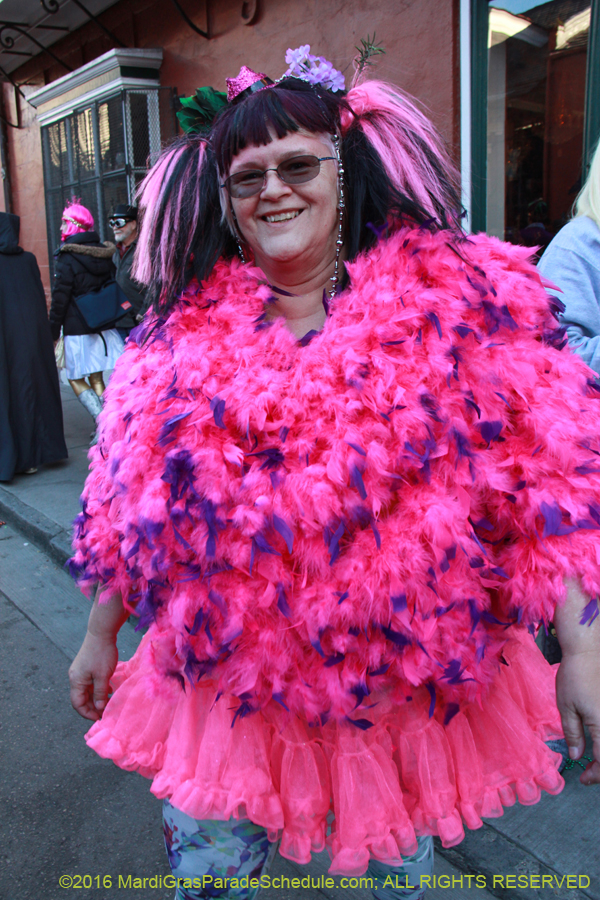 2016-Mardi-Gras-Day-walk015415