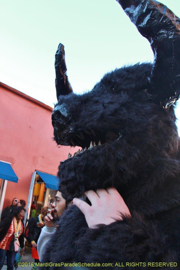 2016-Mardi-Gras-Day-walk015416