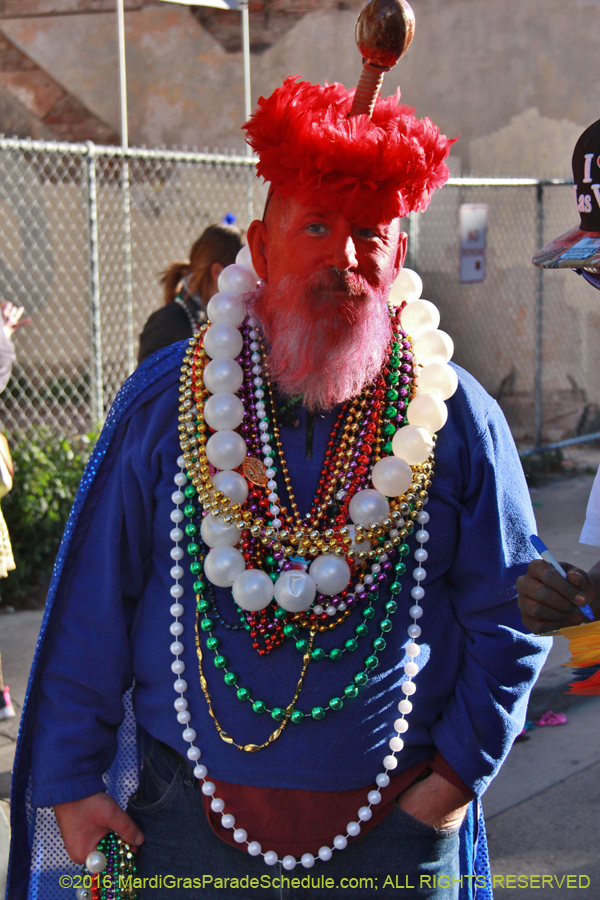 2016-Mardi-Gras-Day-walk015422