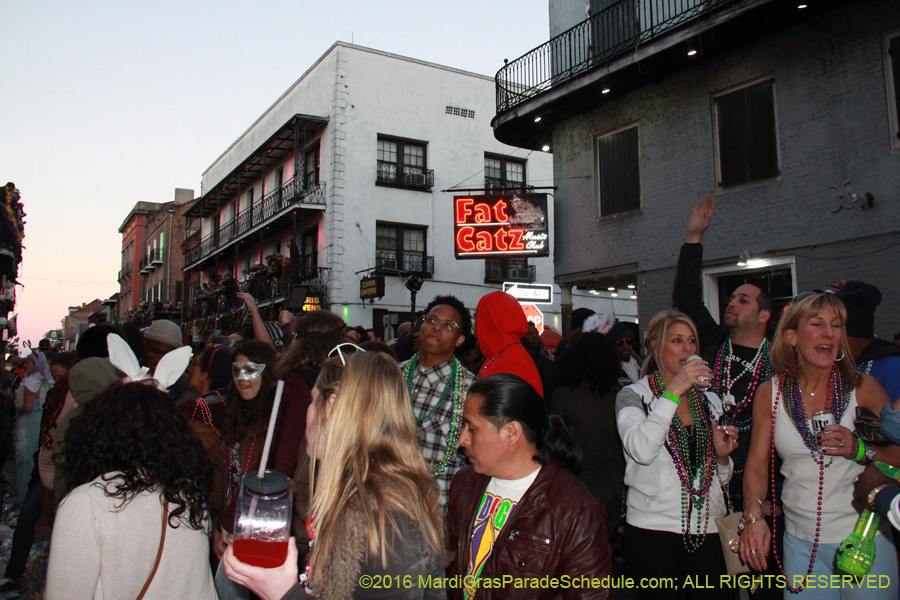 2016-Mardi-Gras-Day-walk015512