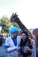 2016-Mardi-Gras-Day-walk015307