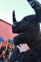 2016-Mardi-Gras-Day-walk015416