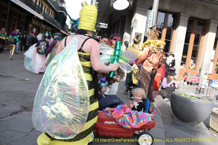 Mardi-Gras-Day-Stroll-2019-011715