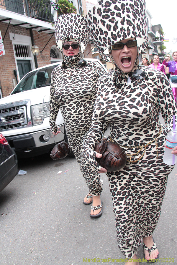 Mardi-Gras-Day-Stroll-2020-10299