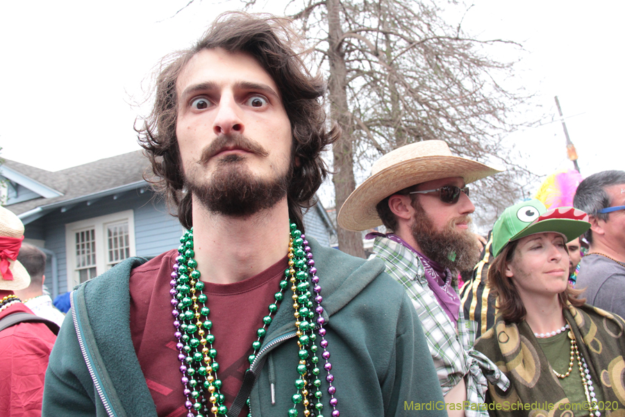 Mardi-Gras-Day-Stroll-2020-10337