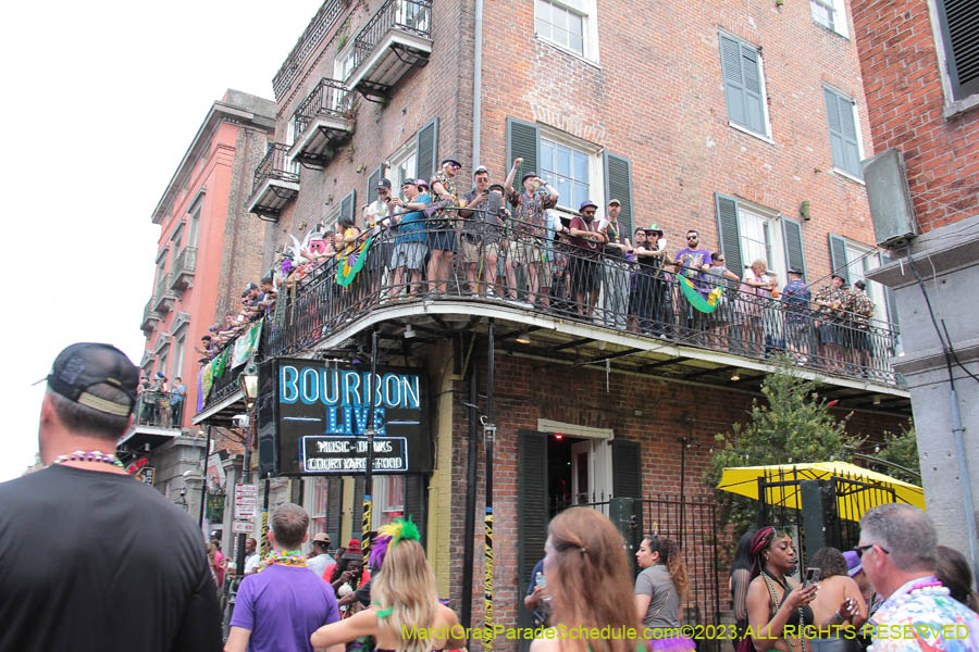 2023-Mardi-Gras-Walk-10747