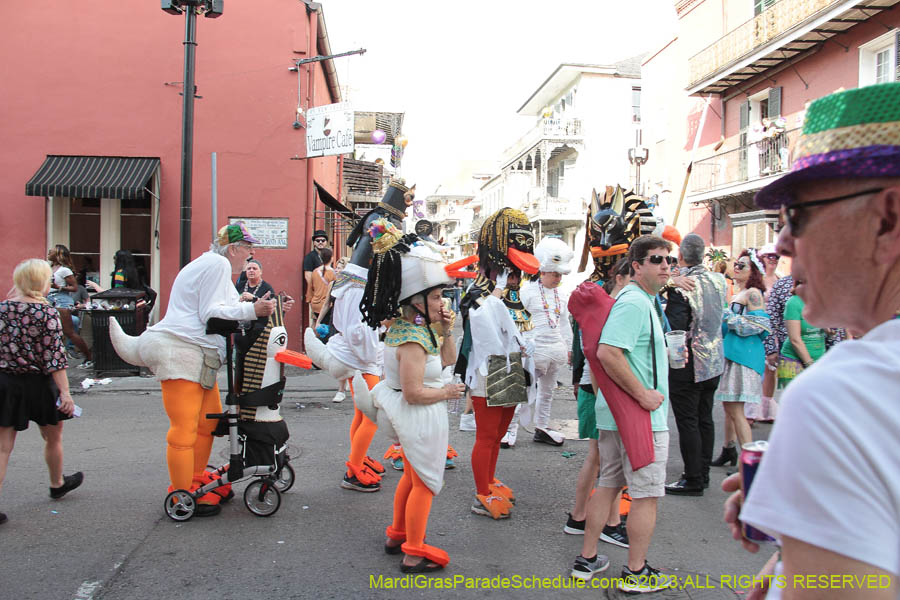 2023-Mardi-Gras-Walk-10761