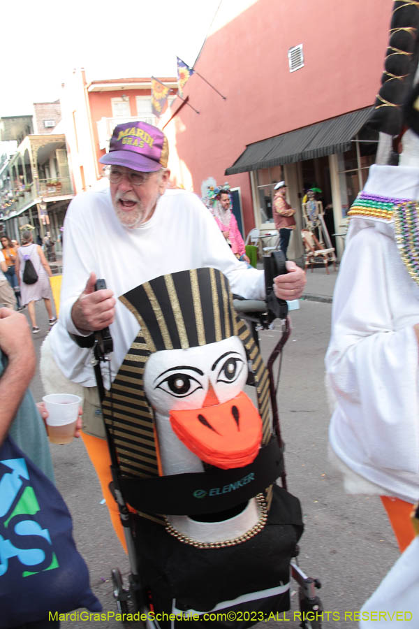 2023-Mardi-Gras-Walk-10766