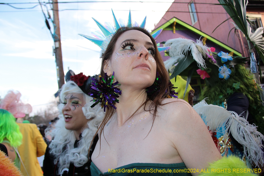 2024 Randomness and Revelry presents "Mardi Gras Day in the French