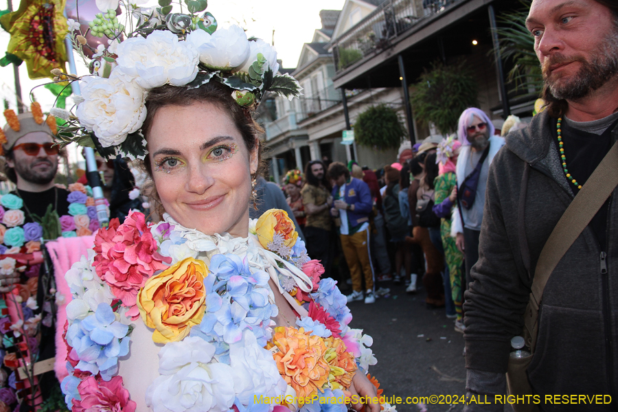 2024-Mardi-Gras-Day-13805