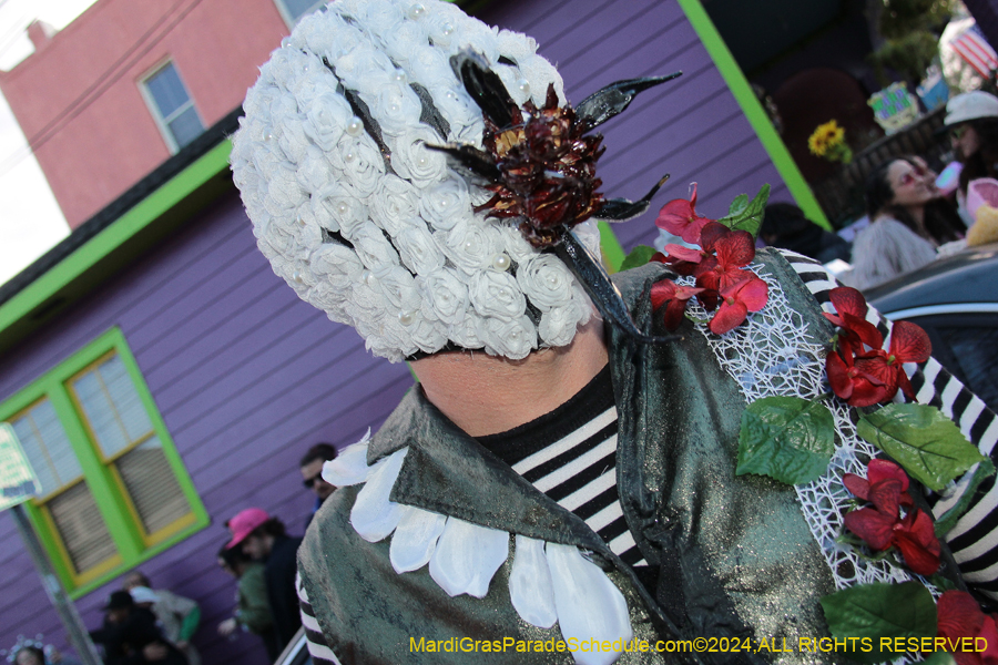 2024-Mardi-Gras-Day-13815