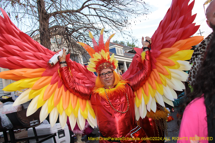 2024-Mardi-Gras-Day-13817