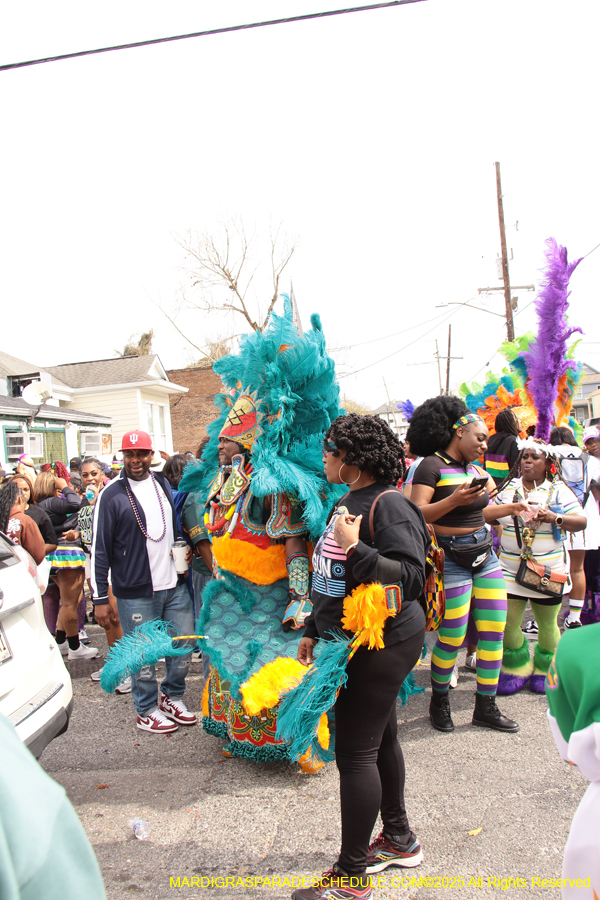 Mardi-Gras-Day-Strolling-2025-3267