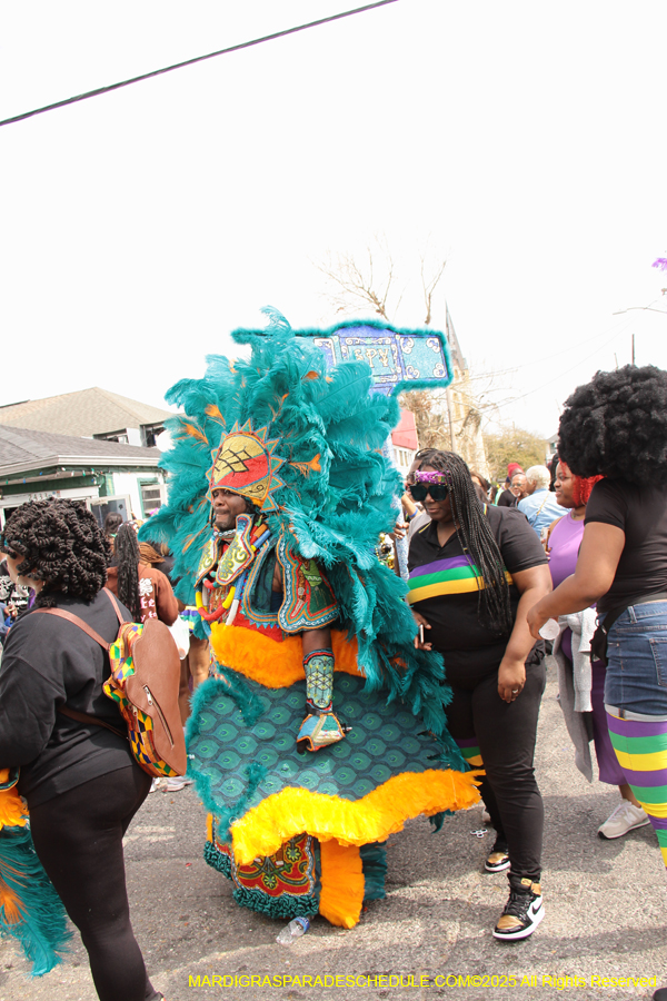Mardi-Gras-Day-Strolling-2025-3268