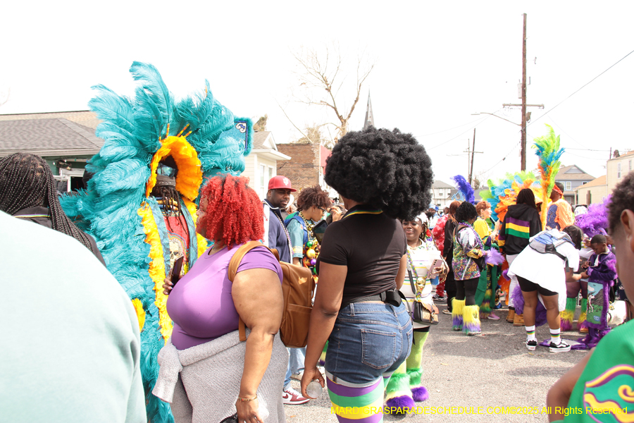 Mardi-Gras-Day-Strolling-2025-3269