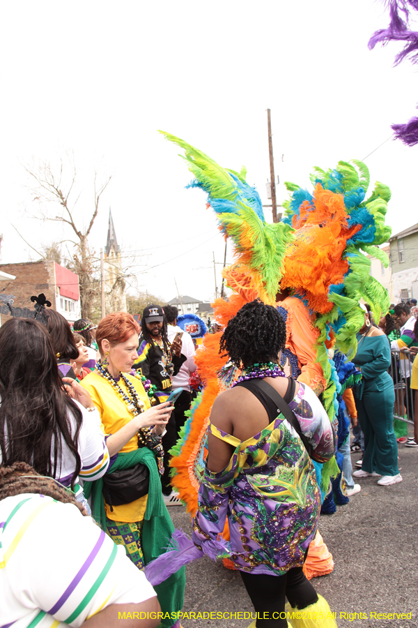 Mardi-Gras-Day-Strolling-2025-3270