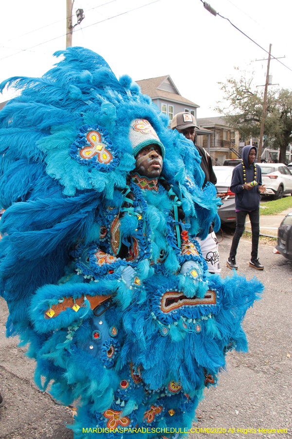 Mardi-Gras-Day-Strolling-2025-3271