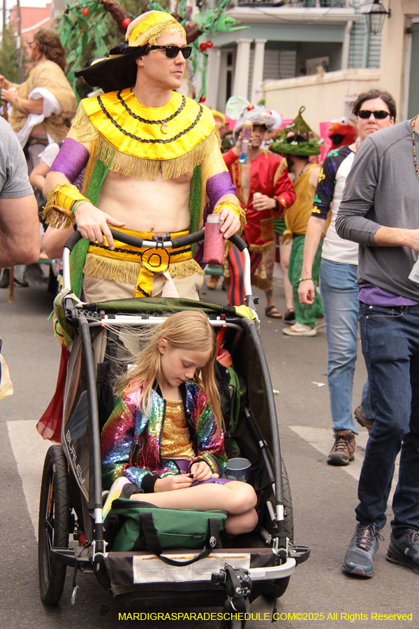 Mardi-Gras-Day-Strolling-2025-3282