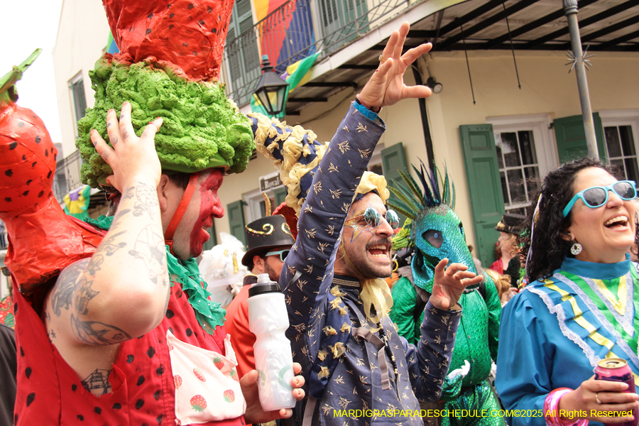 Mardi-Gras-Day-Strolling-2025-3308