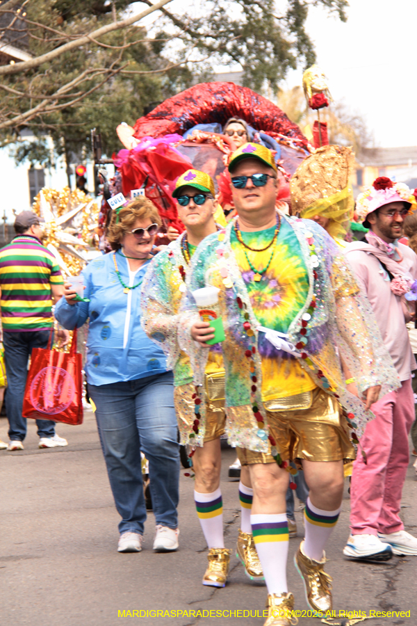 Mardi-Gras-Day-Strolling-2025-3318