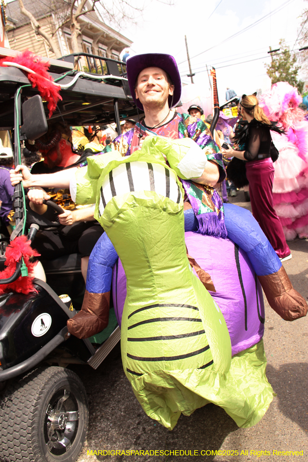 Mardi-Gras-Day-Strolling-2025-3338