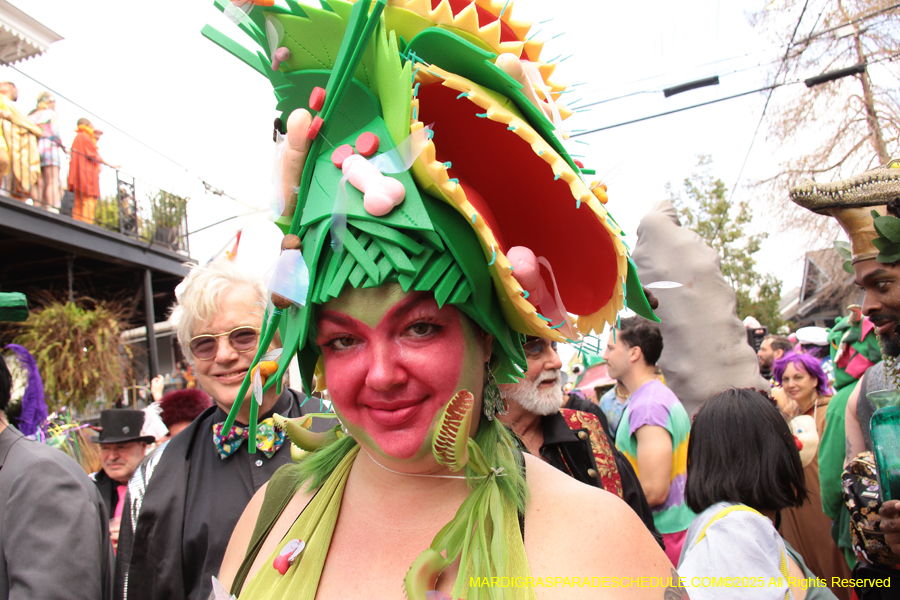 Mardi-Gras-Day-Strolling-2025-3354