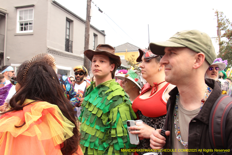 Mardi-Gras-Day-Strolling-2025-3369