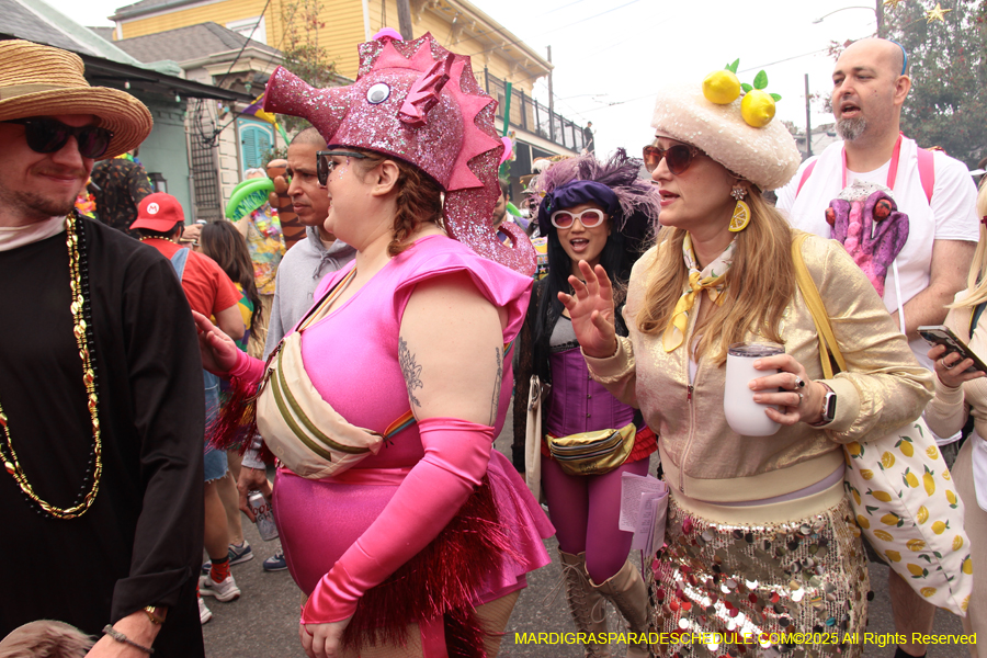 Mardi-Gras-Day-Strolling-2025-3373