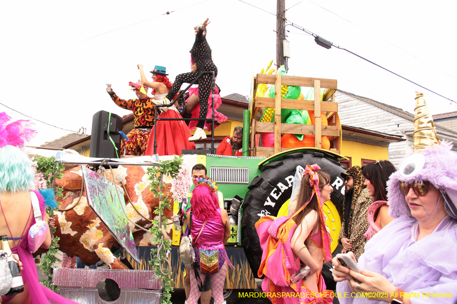 Mardi-Gras-Day-Strolling-2025-3375