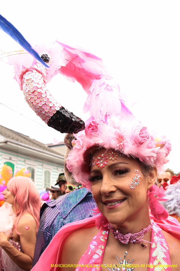 Mardi-Gras-Day-Strolling-2025-3378