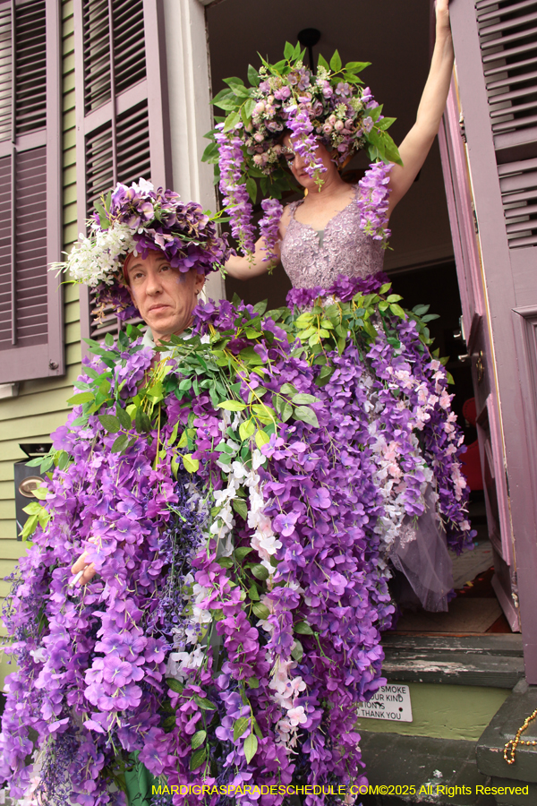Mardi-Gras-Day-Strolling-2025-3388