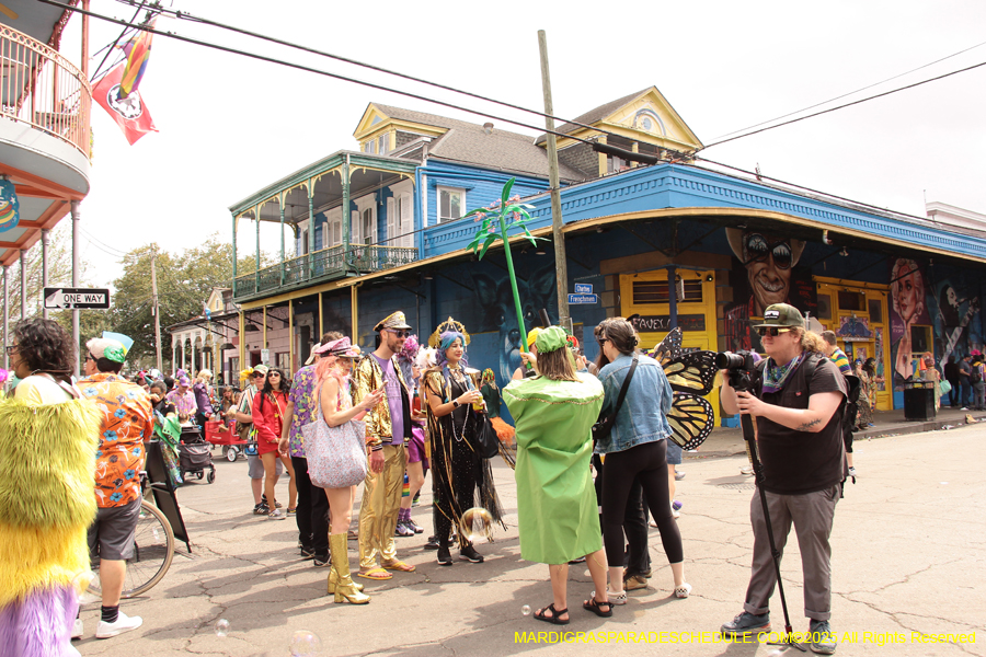 Mardi-Gras-Day-Strolling-2025-3390