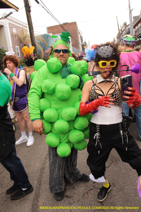 Mardi-Gras-Day-Strolling-2025-3392