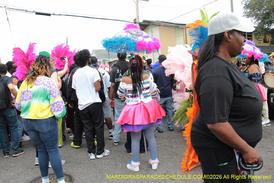 Mardi-Gras-Day-2026-13239