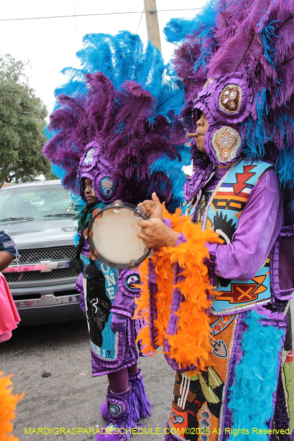 Mardi-Gras-Day-2026-13242