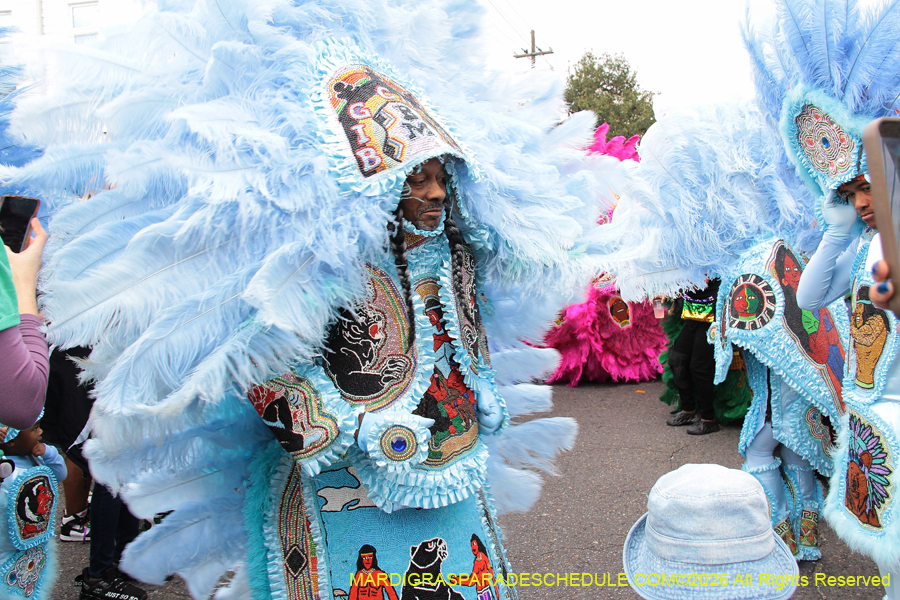 Mardi-Gras-Day-2026-13243