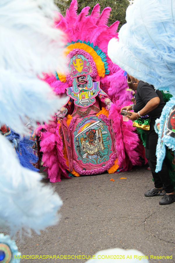 Mardi-Gras-Day-2026-13244